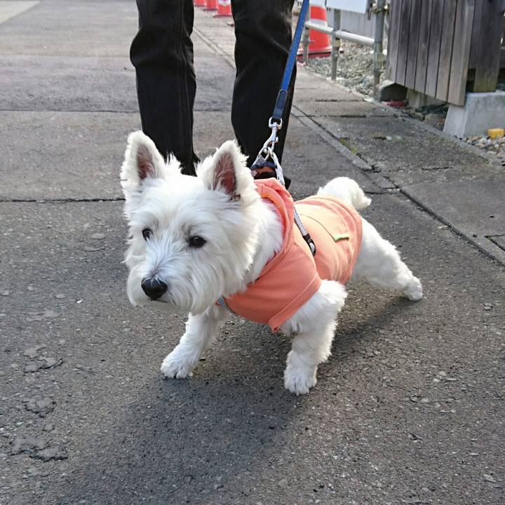 E9795552 d412 4b13 9740 7e0b1cd32d4a