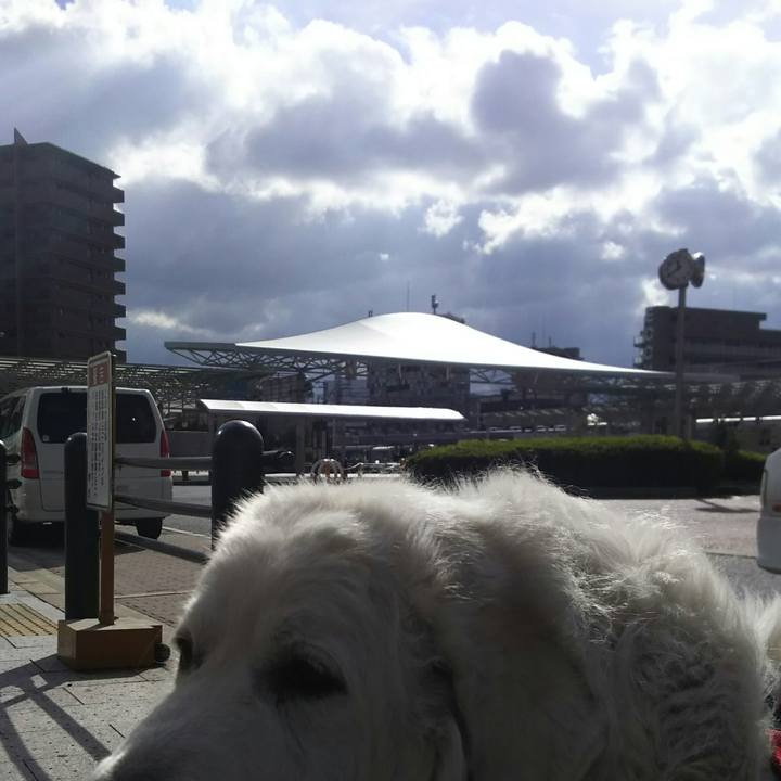 E97a1a84 46f1 48f1 9308 e0c9326cf66f