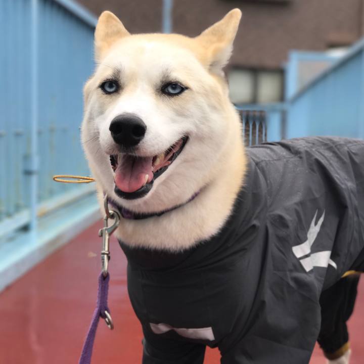 E97aef87 7ab3 43be bd5c 5cfd5c854984