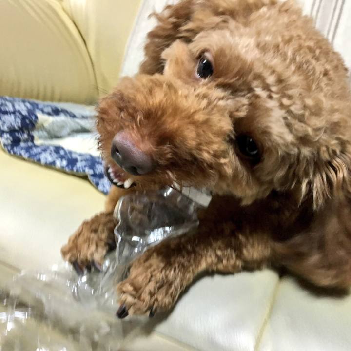 E97bc1b5 e25c 4c8d bf82 b20b1cf01d81