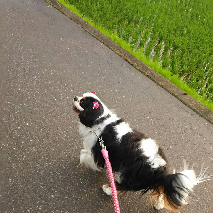 E97c3eda f051 4ecb b4c7 cb8eaf682906