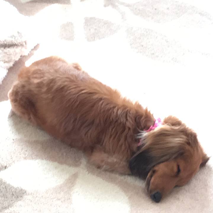 E97c72f3 881d 465f 8ae6 196bce0d374e