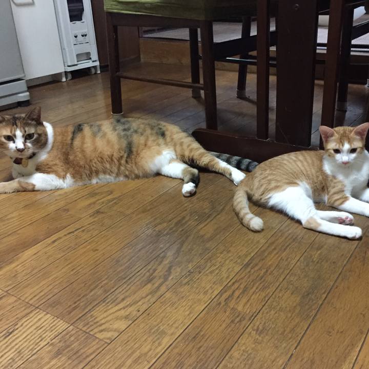 E97cc389 3add 48b9 9c78 321e21a284dd