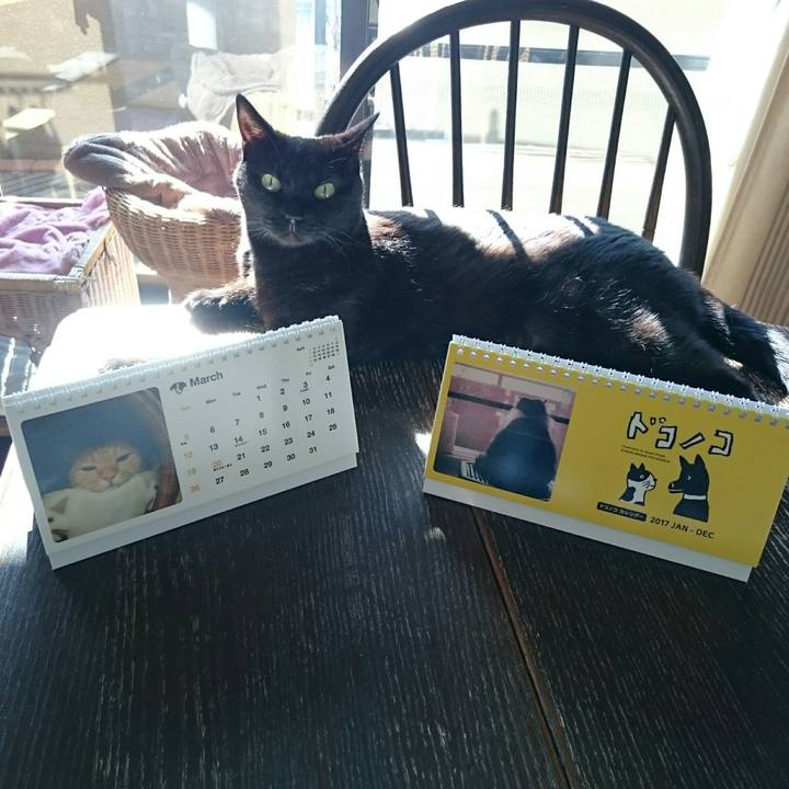 E97ce8c4 ea65 43e5 aa68 975d093d52bd