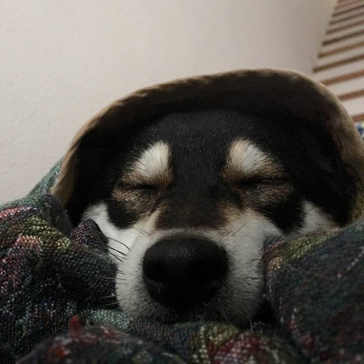 E97d089b 855f 4895 a0ba c8d54b1a56d5