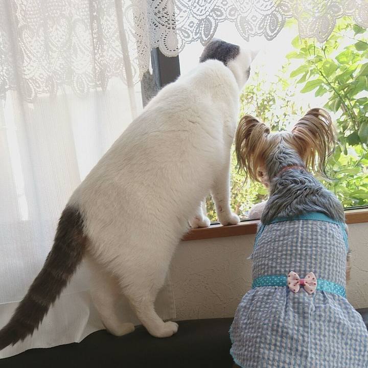 E97d5bfe 076e 440d 8888 7440a9a9a8ba