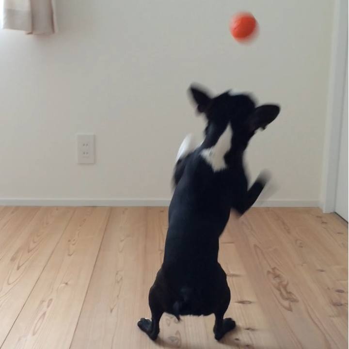 E97d6e0d 9914 4a51 8e86 19f6e1ddf794