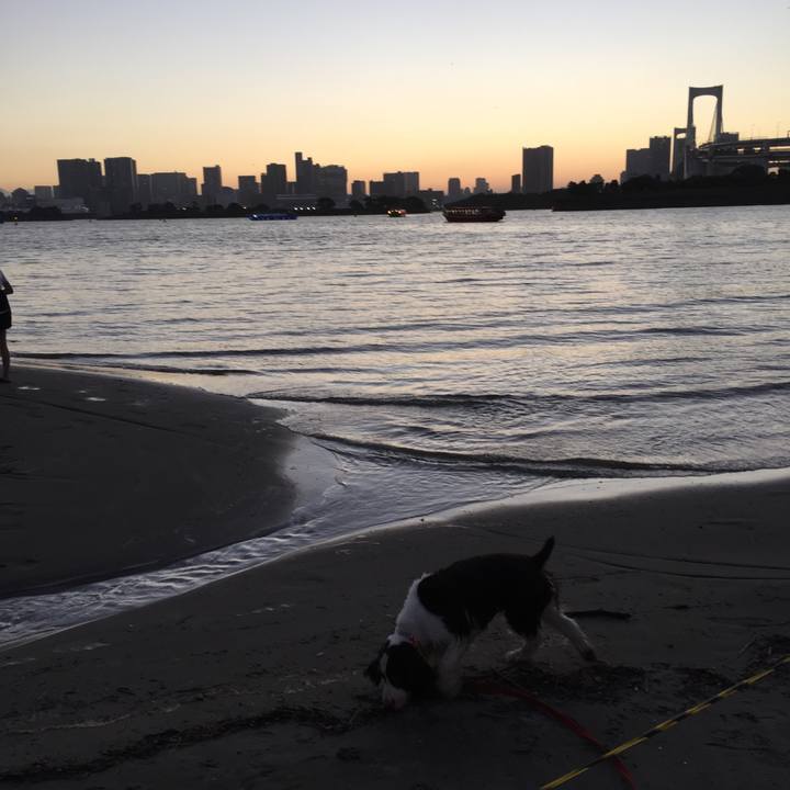 E97dd0c0 5ca0 4d03 919e 6d90a50a3311