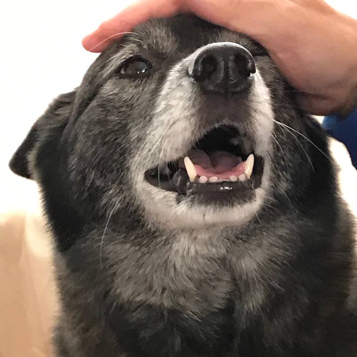 E97df9ba 916e 47d6 b77b 2e588a2a819f