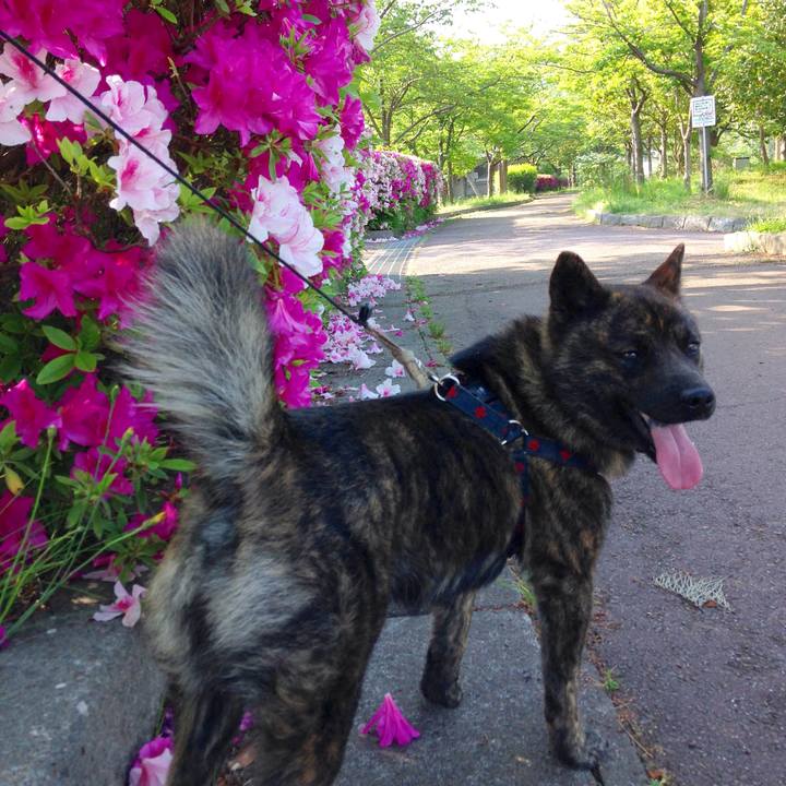 E97e2f69 9fad 4023 8557 26efc3e5c2d8