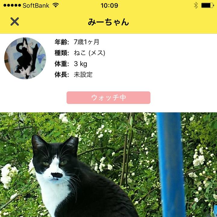 E97f23ad 0931 4b5d b5da d95a6718da2e