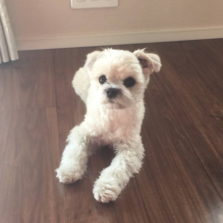 E97fffb8 b36c 4045 9573 bd3573e9f00e