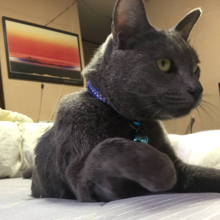 E9805f8f d895 4356 bb5c d201e9e731ad