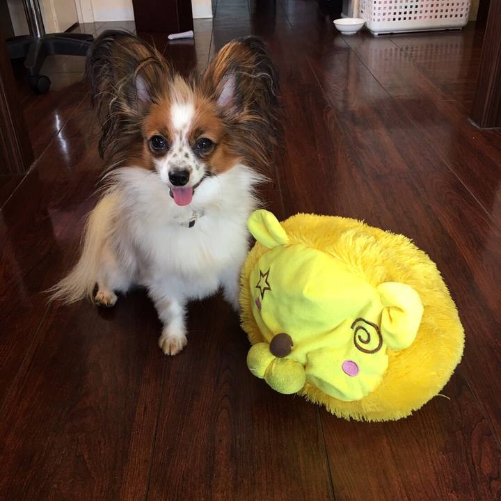 E980821c 5519 41db 8b0c b3dd43fc4885