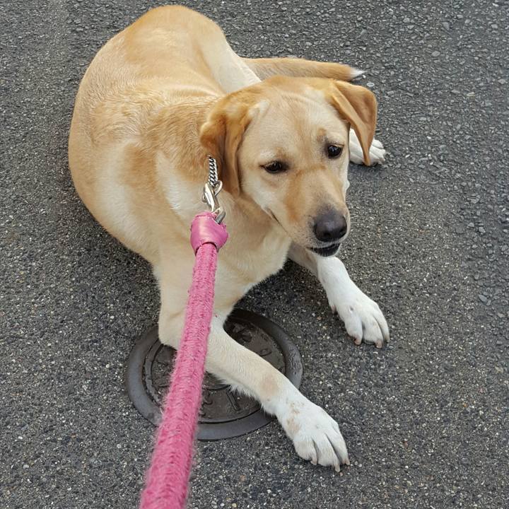 E980857a 1409 4205 831e ccdb476d12e9