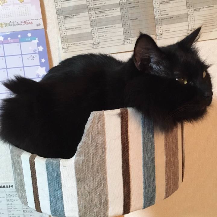 E9810f52 64e4 4e42 9fbd 76a0c5742755