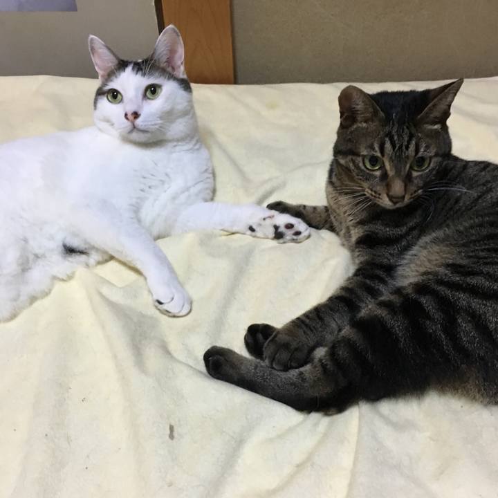 E9812d62 6542 403c 8f92 00d3c58d4fa6