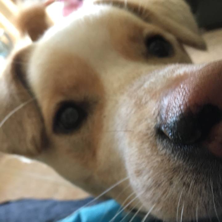 E9813dc2 6178 4f61 b1f6 9ac2e336a266