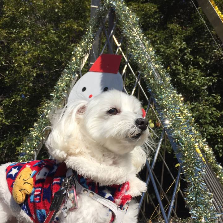 E981b1f9 fdd9 416b 99f2 ffdaecf84f34