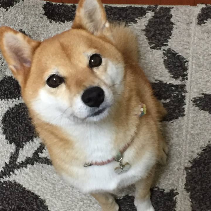 E981f855 7e4f 4835 b1cd 0b80cd84de2f