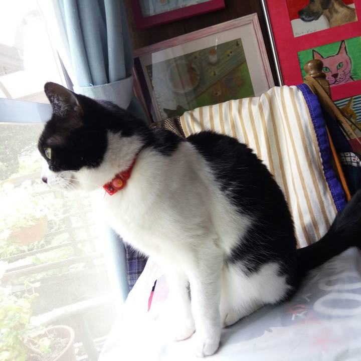 E9821dec af24 436b b92f cd30c6470179