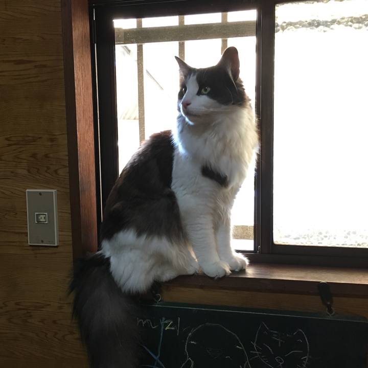 E98230c2 49fa 4c5b 916d cc23d5177adf