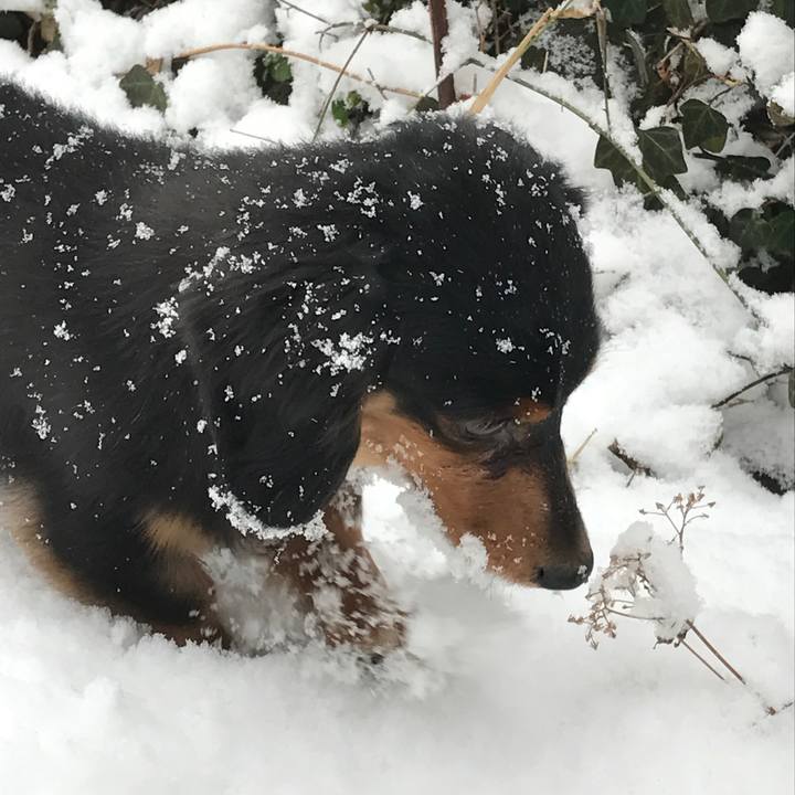 E9829367 bb1d 4dae 9768 28601b3753aa