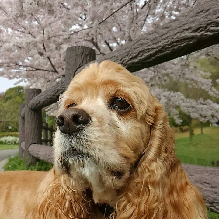 E982963c 9f5c 4828 95df 4c119576ae76