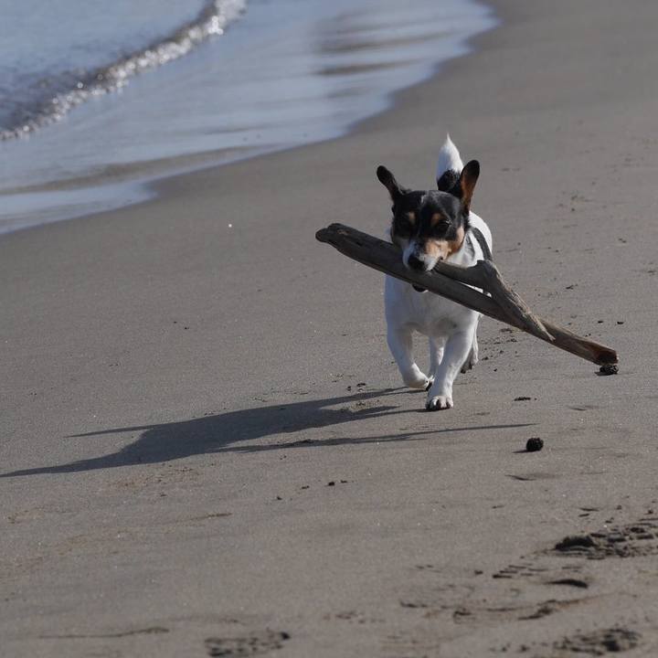 E982d276 d53e 4258 8fa6 1c470b9d650c