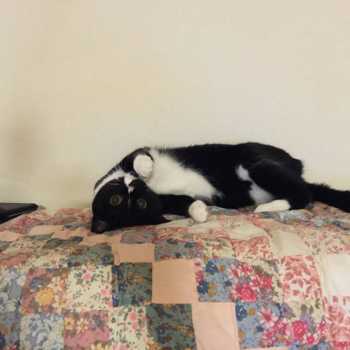 E98312f1 ae7b 4032 b4c5 751aa79d6208