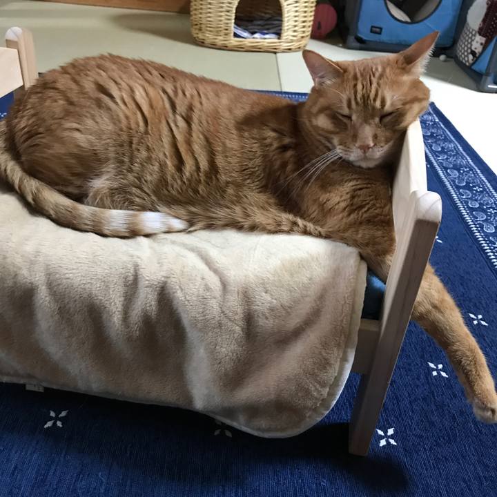 E9837790 83a2 4f2b 8ef1 ca90bd0b63e2