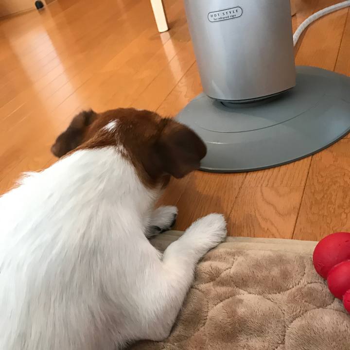 E98388da fd62 4454 8c93 d11cb6703ea7