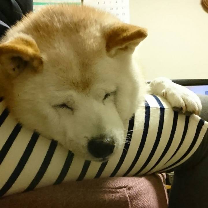 E983d019 6d5b 41b4 b13f 2d345ef72707