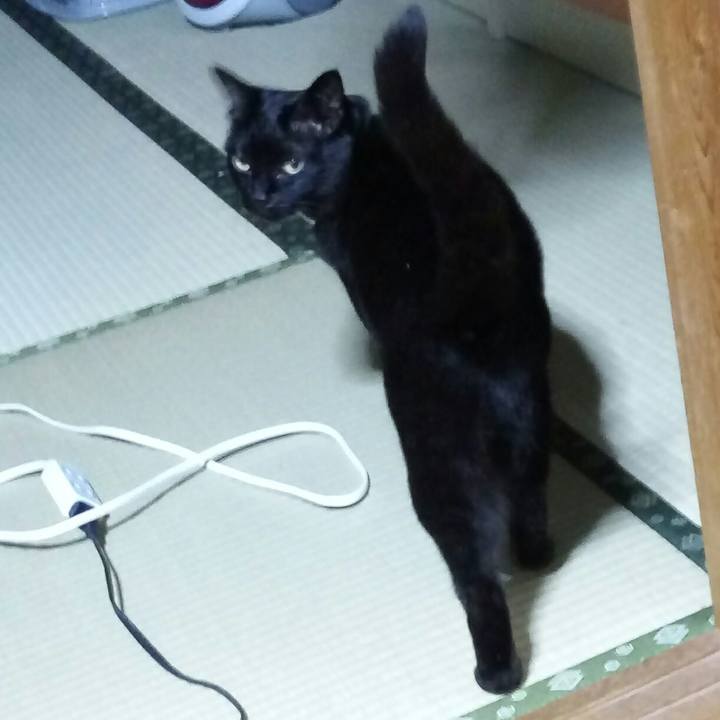 E983fbc5 97a0 4b3b a1df f78d3e280470