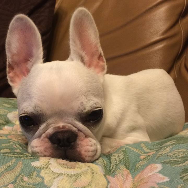 E983fec0 9967 4252 8ead 3f54bffe195b