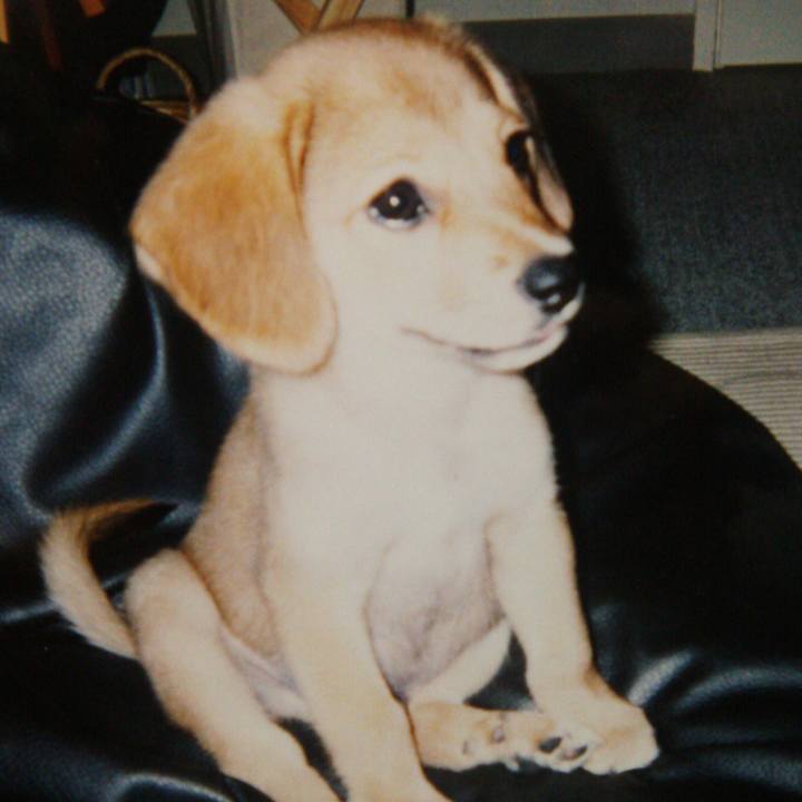 E984abfb 3c71 4913 9964 7e9e66bb426e