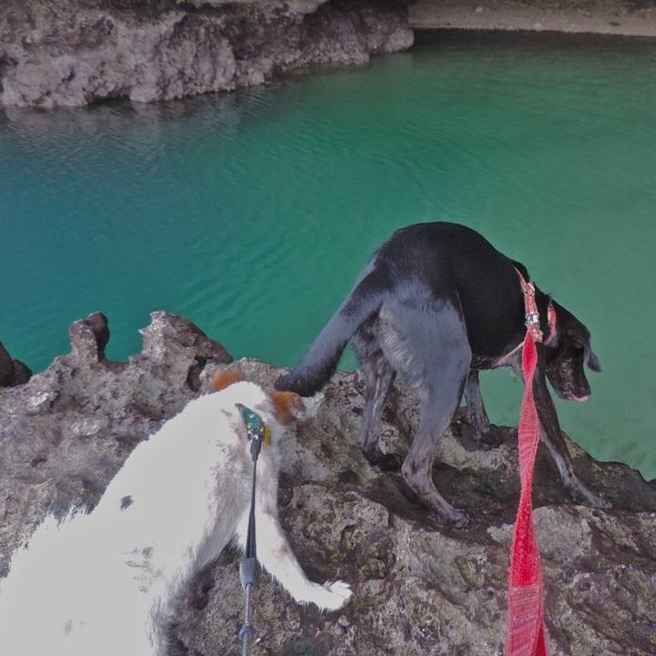 E985252d aa22 492e 9406 79f3cddfed89