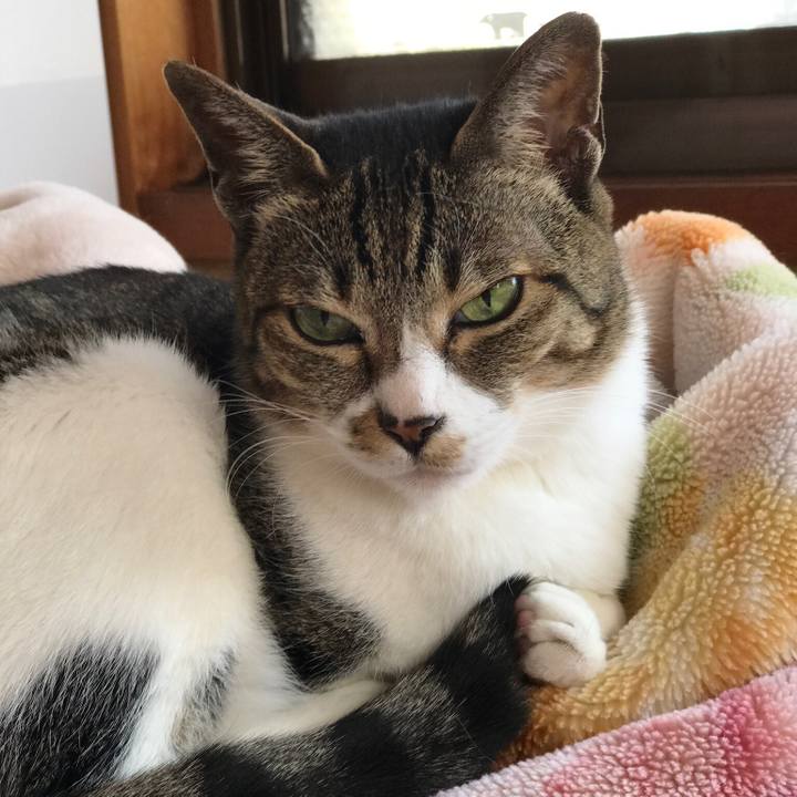 E98543be 92bd 49c7 9642 a05451d6c387