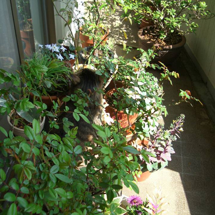 E98551f2 c710 4d0d 9878 1938bd576a75