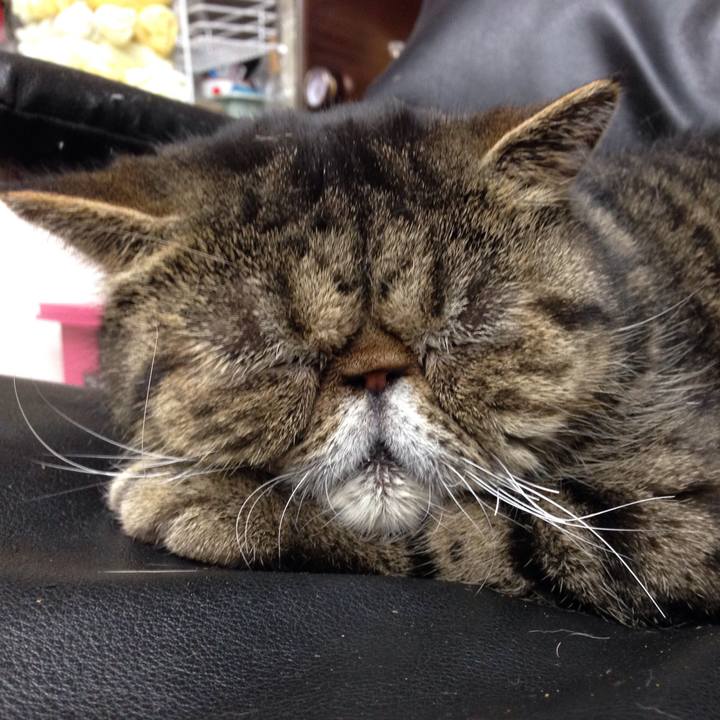 E985e04c 8a6a 486e 86b1 037f30c8ce93