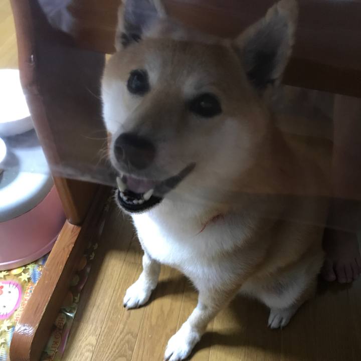 E985e7fc 8dde 47ba 8749 3b085ae6eb7b