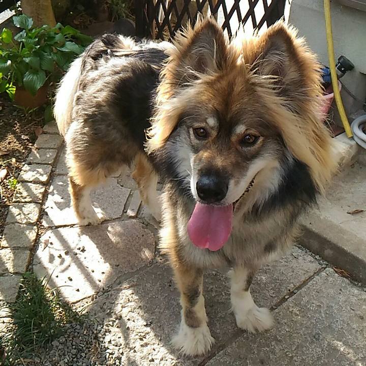 E986eef8 cac2 403e 8ab9 50bdbc2e5ac1