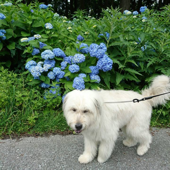 E9876482 48fb 44de 9b65 acb718345343