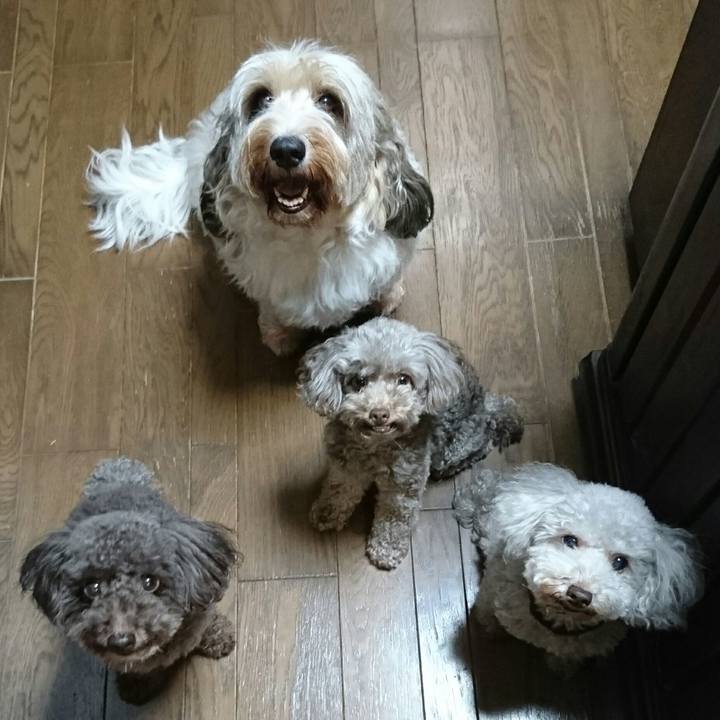 E9877177 c807 4406 9bf4 92bc38d73c17