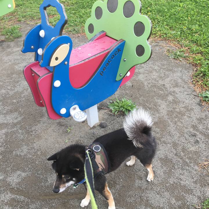 E987ccf4 5f7c 49db af2e ab015fe971a0