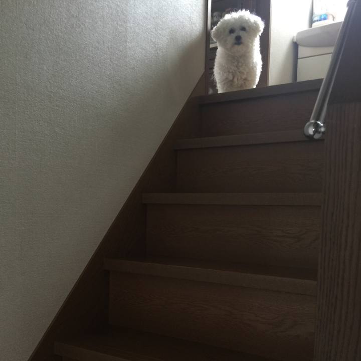 E987d77e 8b4f 43c0 bce2 89efff3f222b