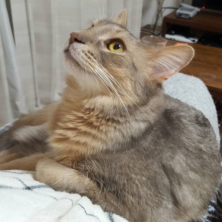 E987e818 ba38 4309 99b6 22e2dca22f9f