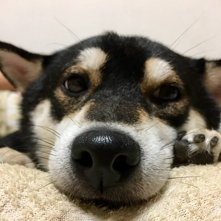 E98805a1 579a 4f3a acf9 18a1ce36126d