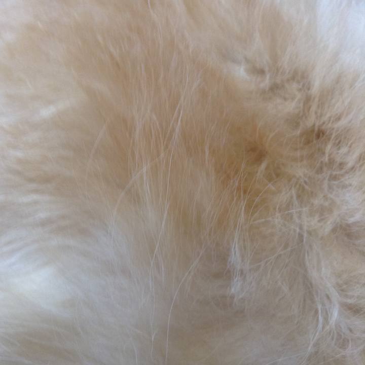 E988534d 6c19 4e26 adc0 fe673605e75c