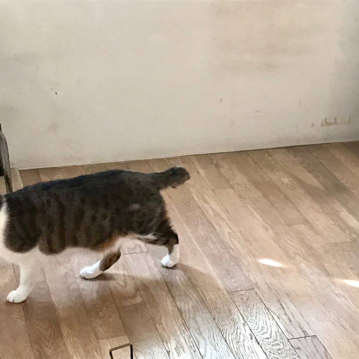 E9885abc 51cd 4ebc addf 768a6219a1a8